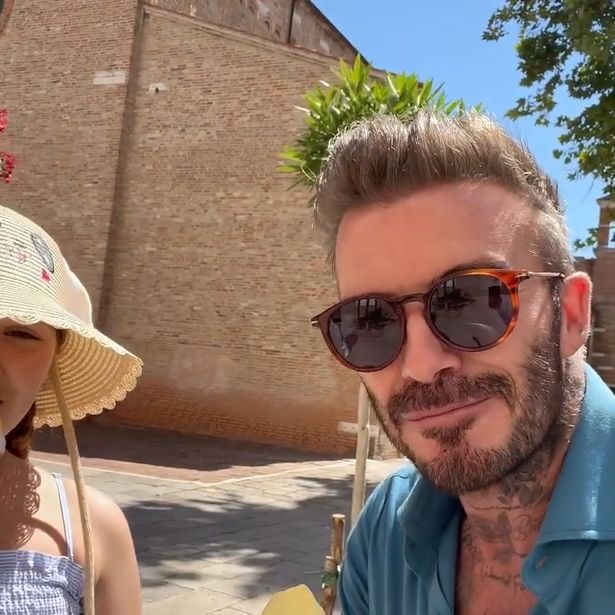 David posted a video to Instagram to show off Harper's hilarious hat