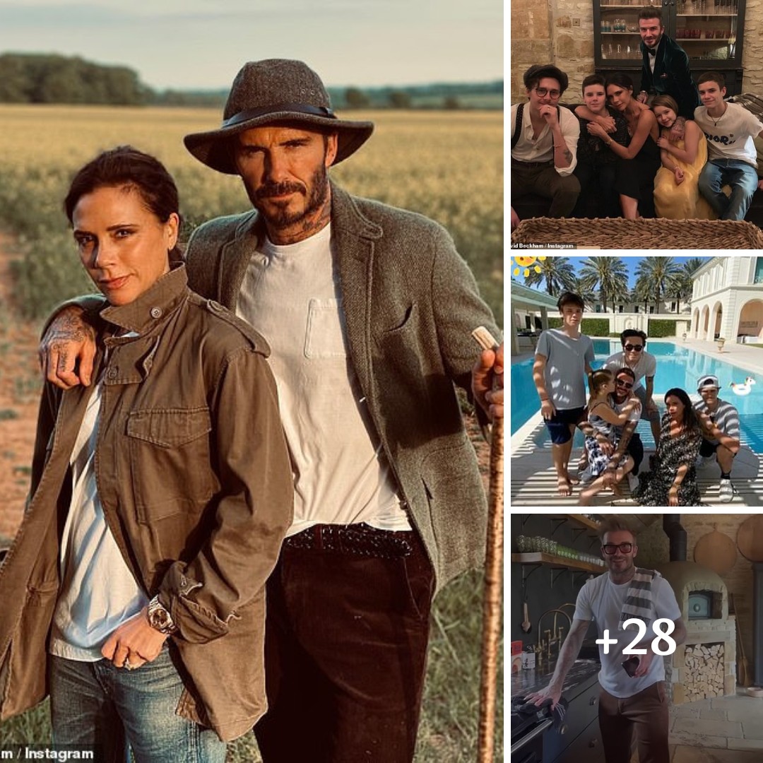 David and Victoria Beckham ‘in fresh row over £12m Cotswolds mansion as furious neighbour accuses them of “turning countryside into suburbia”‘