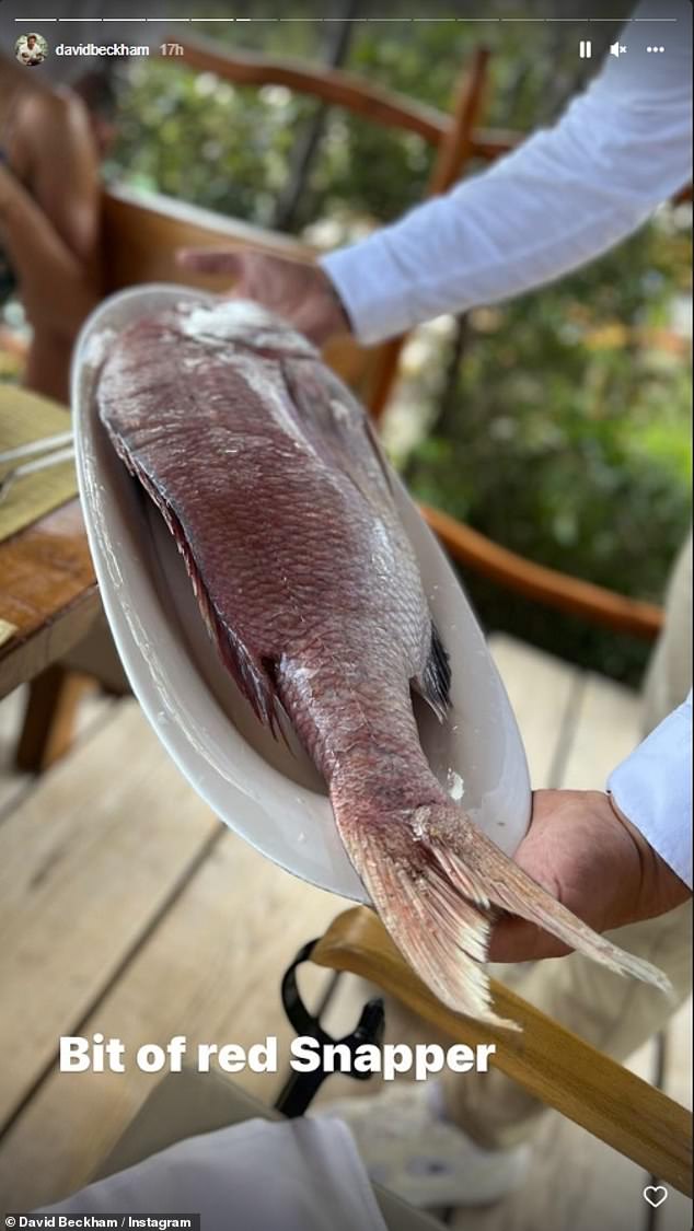 Not your average fish and chips: David shared a picture of his big red snapper