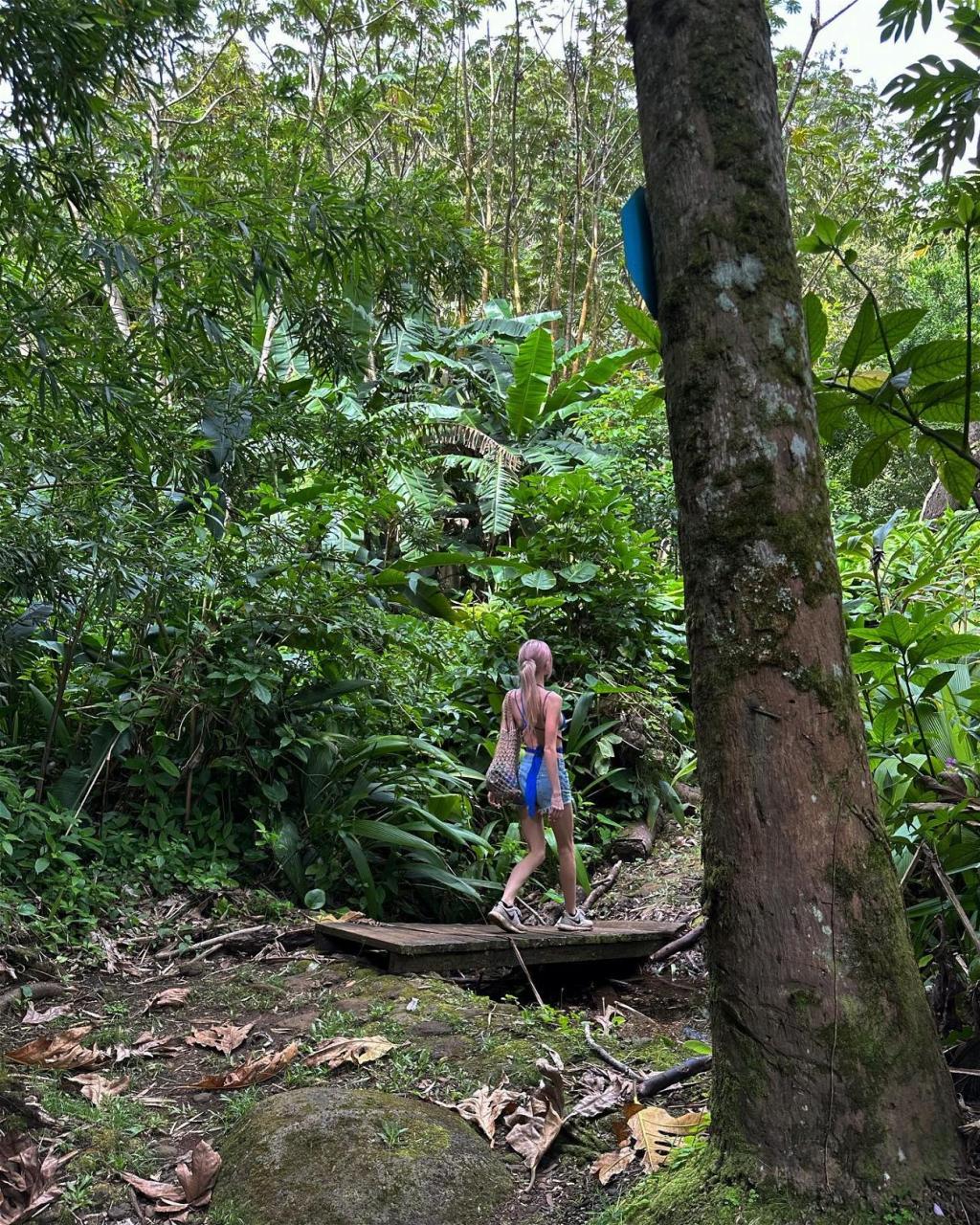 Brittan Byrd Steps Under A Waterfall In A Cut-Out Blue Swimsuit