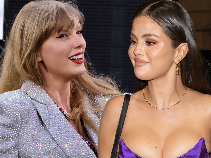 Taylor Swift Concert Tickets Auctioned for ,000 At Selena Gomez Charity  Event