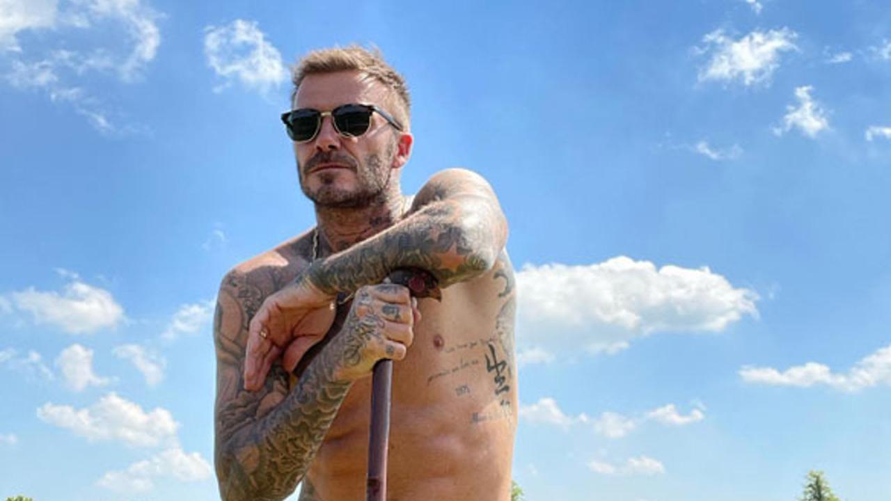 david beckham garden