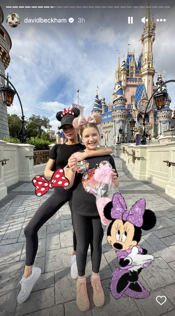 David, Victoria Beckham Take Family to Disney World | Photos