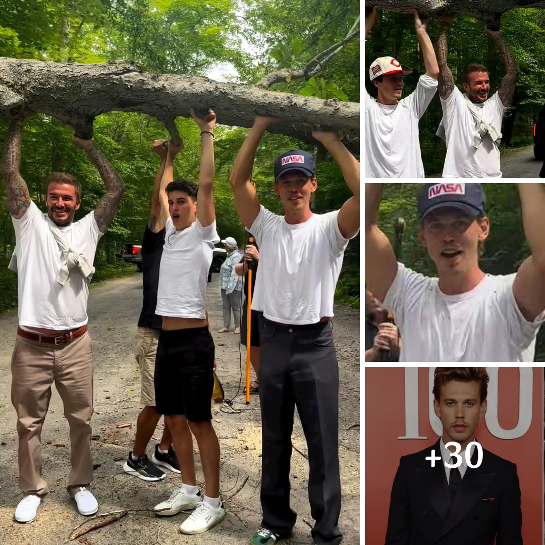 Austin Butler Joins David Beckham to Help Lift Fallen Tree from Road for Drivers in Canada