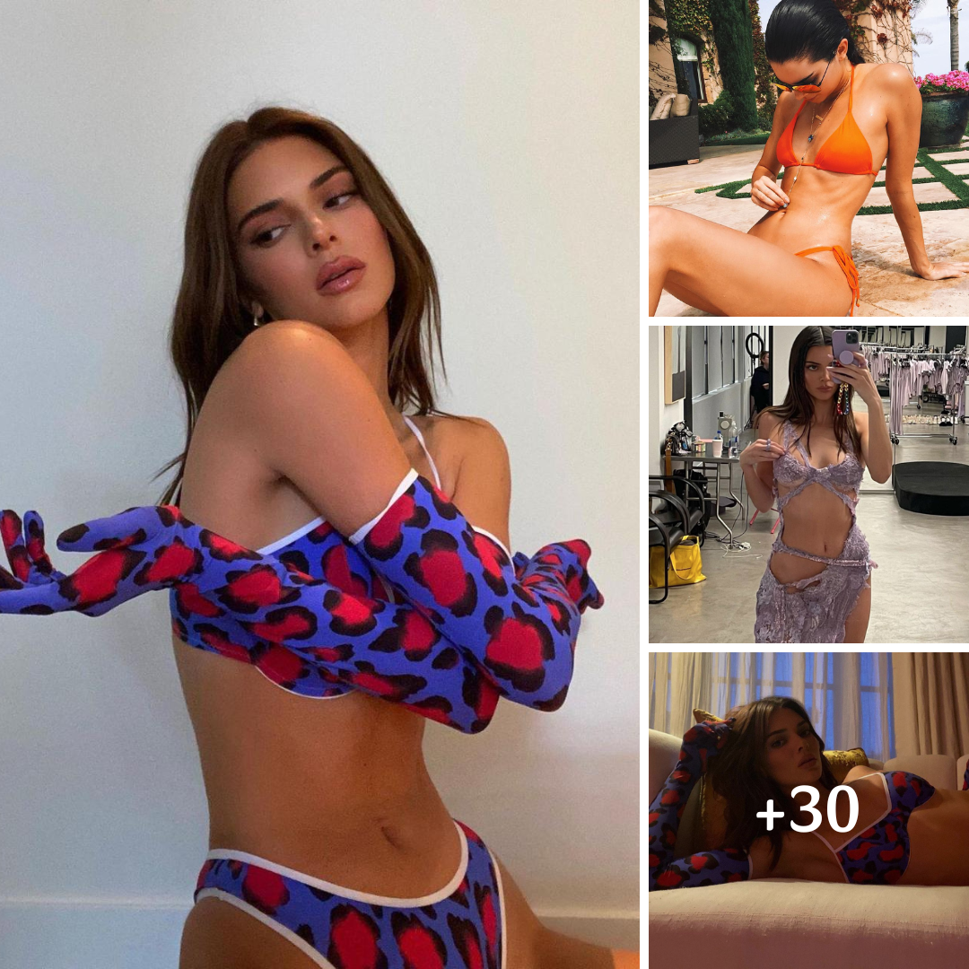 Kendall Jenner Is ‘Perfection’ In Bold Print Lingerie