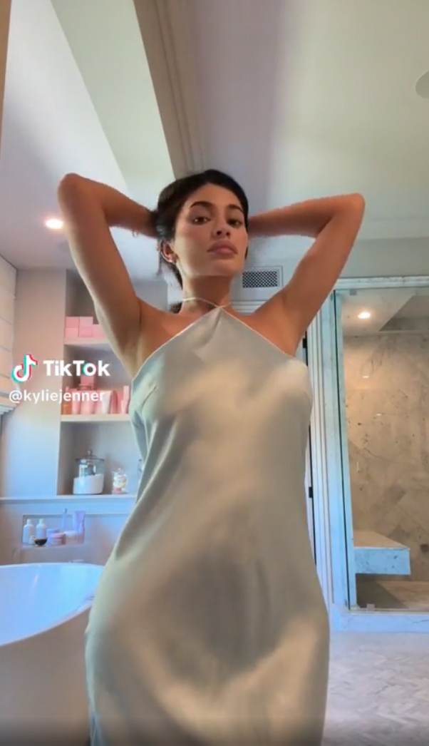 Kylie Jenner slammed for 'flaunting her wealth' with 0K Birkin bag in  new TikTok before abruptly deleting | The Irish Sun