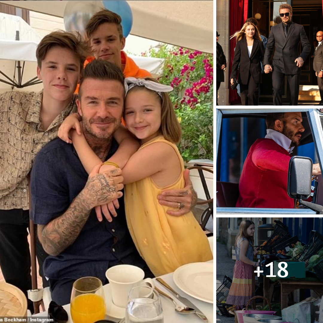 David Beckham and daughter Harper are the cutest as they enjoy family shopping trip