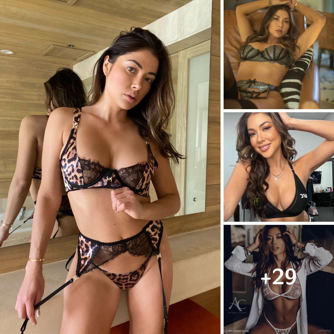 UFC Ring Girl Arianny Celeste Spreads ‘Sunshine’ In Her Sheer Lingerie