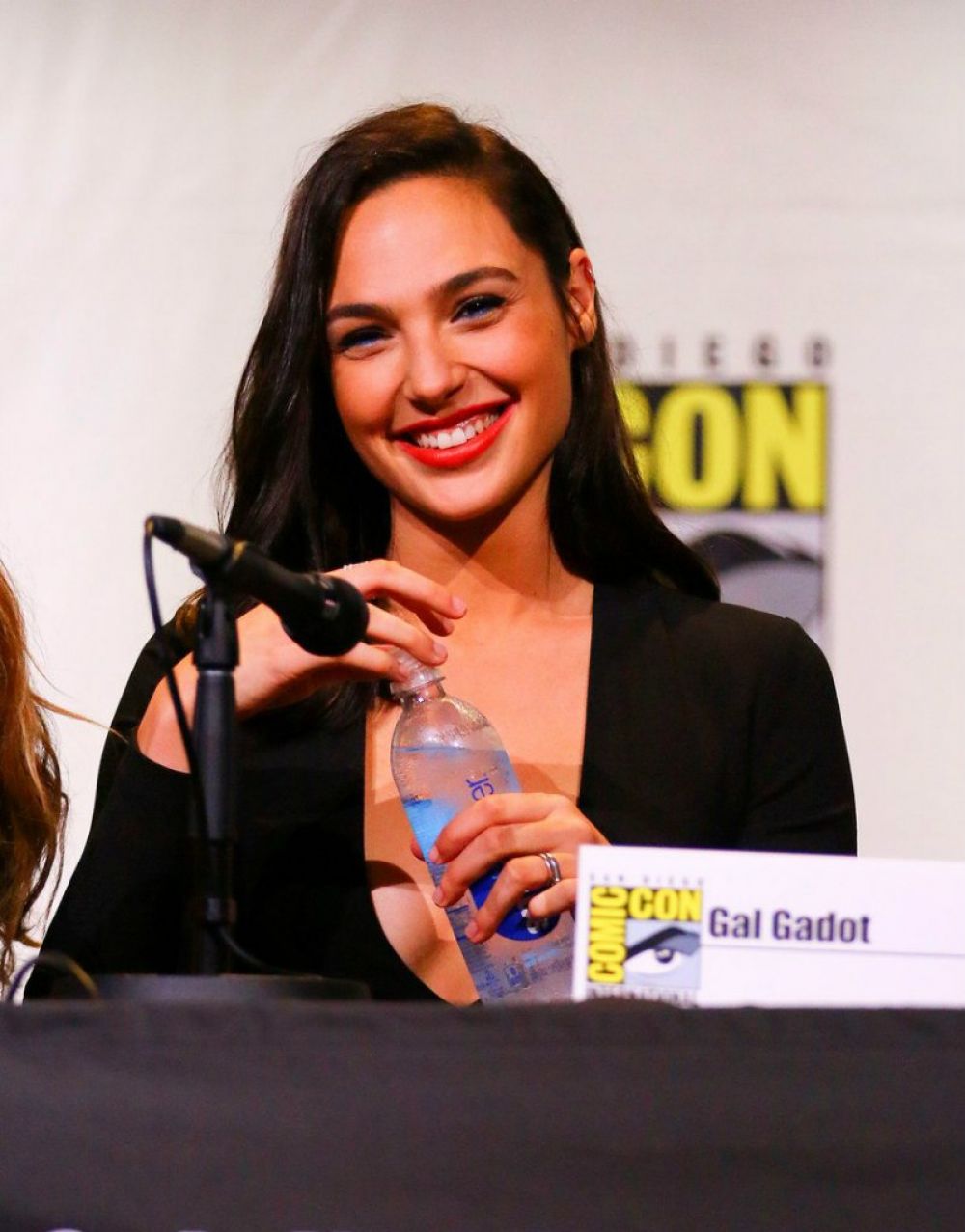 https://www.hawtcelebs.com/wp-content/uploads/2016/07/gal-gadot-at-warner-bros-panel-at-comic-con-in-san-diego-07-23-2016_10.jpg